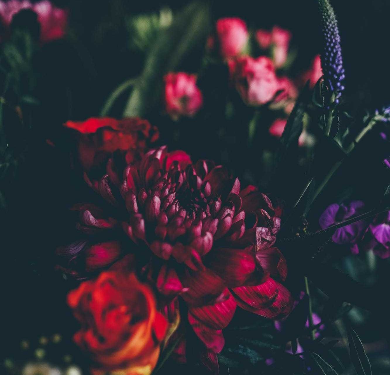 Gulam Rabbani Family